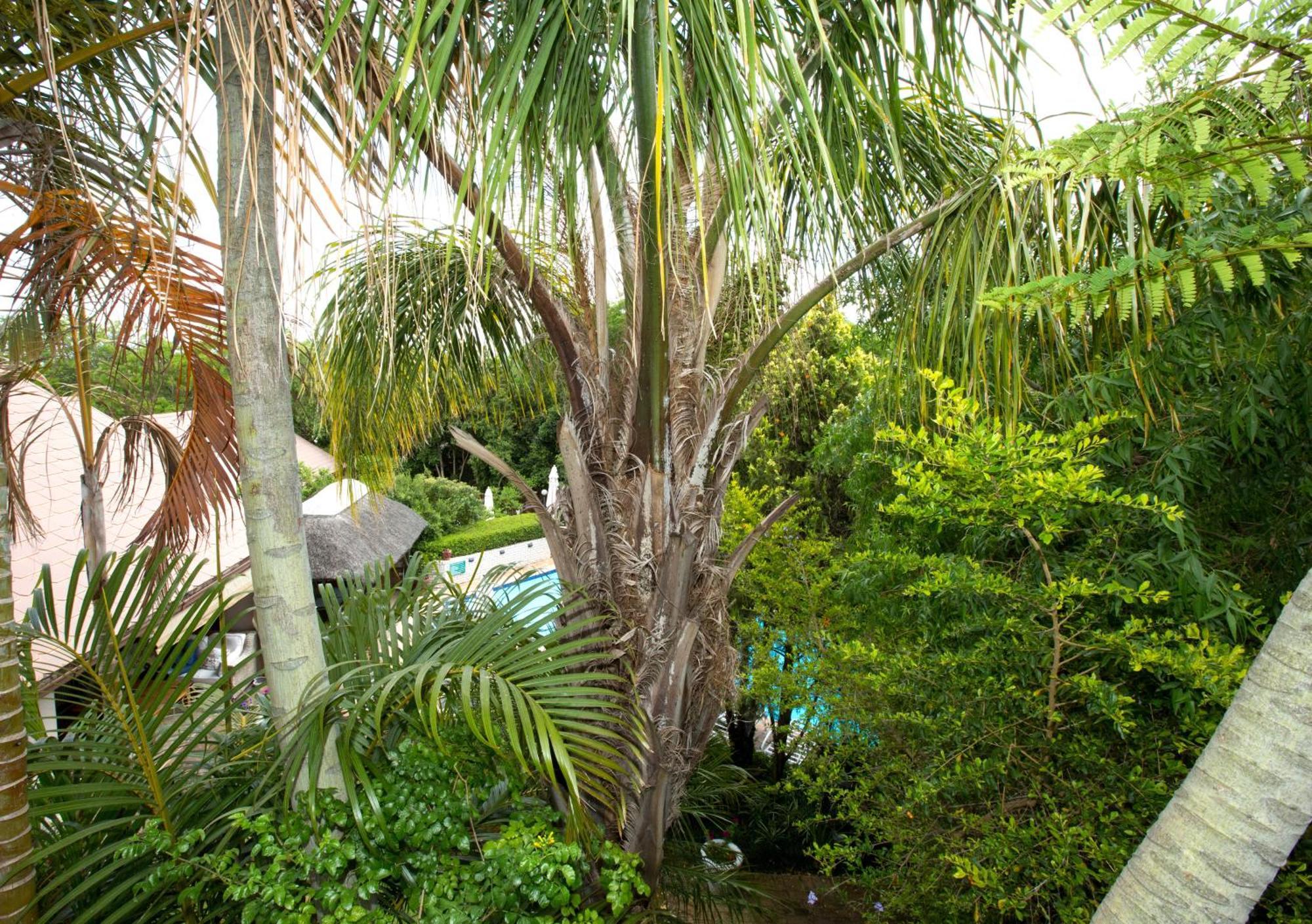 Hazelwood House Hotel Stellenbosch Exterior foto